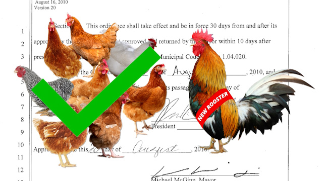 An image of chickens overlaid on an ordinance