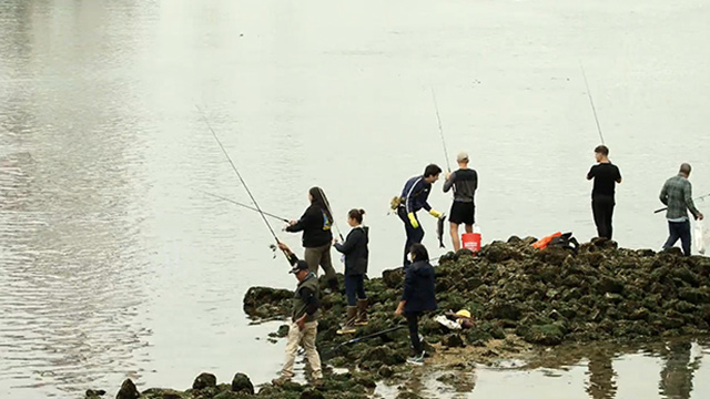 Aerial view of a group of people standing on rocks surrounded by water, fishing