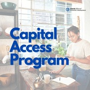 Capital Access Program graphic