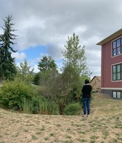 person standing in a lawn at the edge of a rain garden near a remodeled building