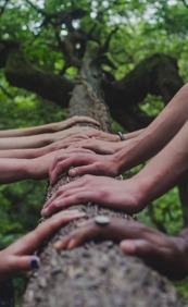 hands from many people lined up along a tree trunk