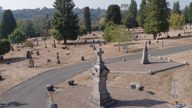 Aerial image of cemetery with trees in  background