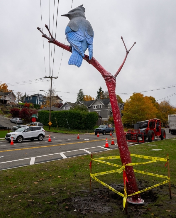 17-foot-tall sculpture of a Steller's jay perched on a branch set in the grass on the east side of Highland Park Way Southwest