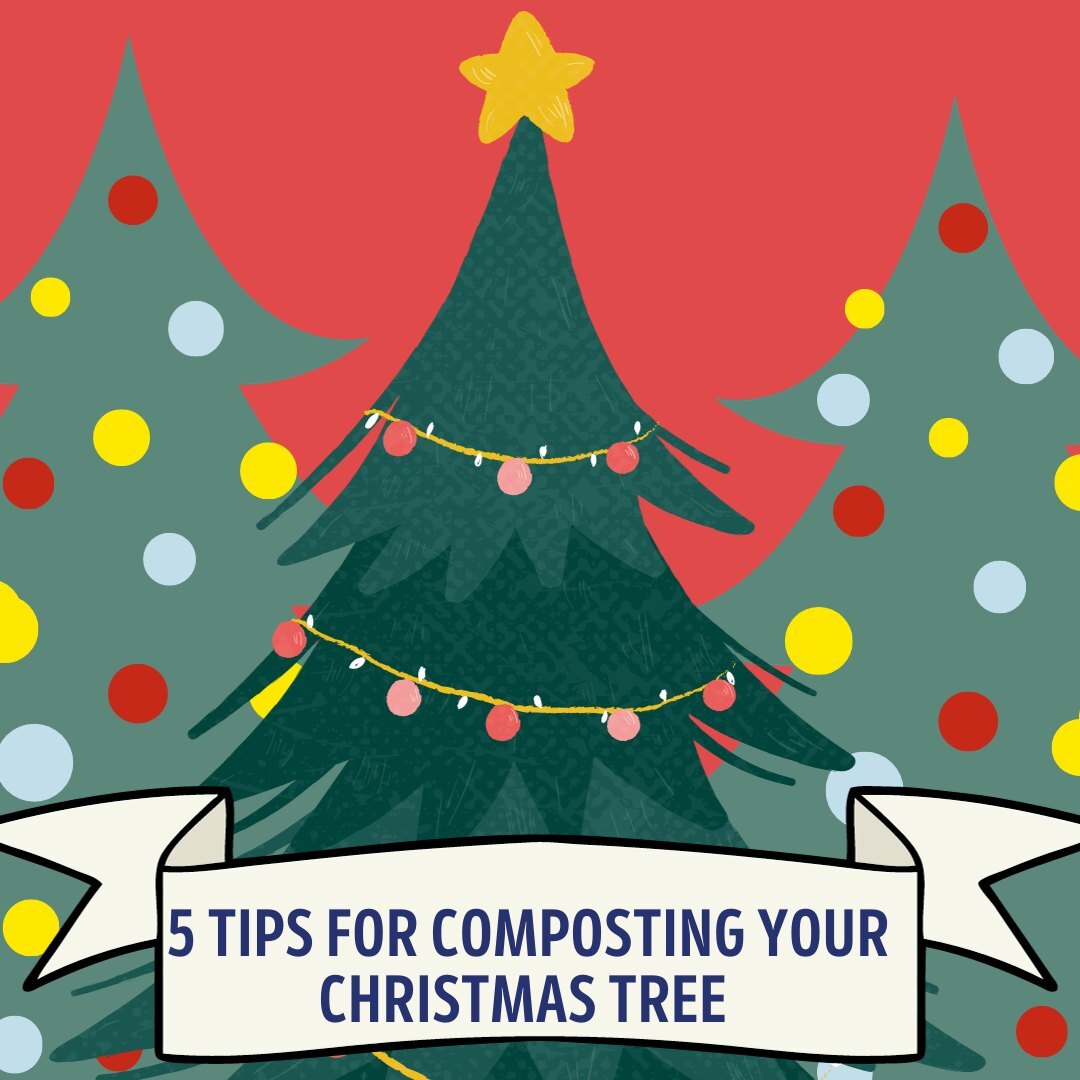 Seattle Responder January 2024 Edition City of Seattle