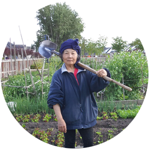 Elderly P-Patch Gardener standing in her plot with a shovel thrown over her shoulder looking cool and strong.