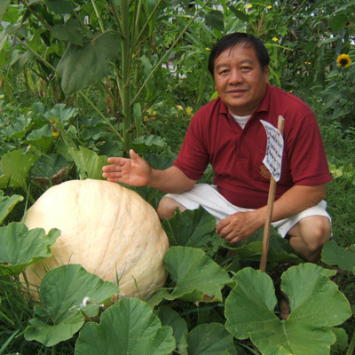 Yao Fou Chao crouched in a verdant veggie patch gesturing to a white gourd at least 2  feet tall and 3 feet wide.