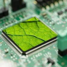 green software stock image