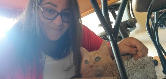 photo of female with long brown hair ducking under a table with orange long hair cat