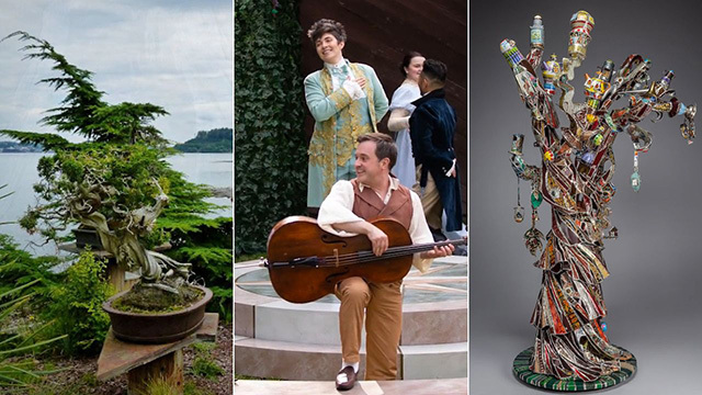 Three side-by-side images from left to right: Bonsai tree in front of larger tree, actors in Shakespearian garb, colorful tree sculpture