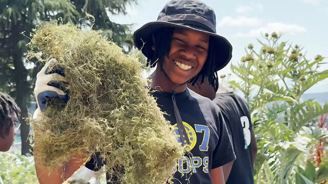 Youth wearing bucket hat smiles, holds up grassy material in urban farm