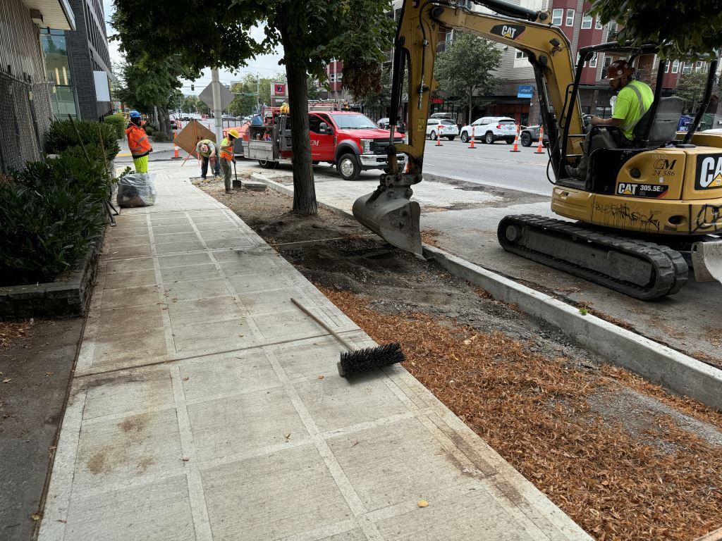 Crews clean newly poured sidewalks and prepare planter strips and tree pits on the east side of 15th Ave NW north of NW 56th St.