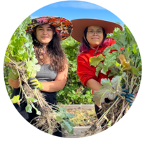 Two youth stand in a garden holding large bunches of greens.