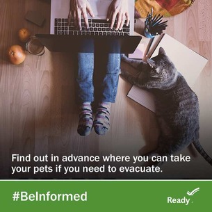 Find out in advance where you can take pets if you need to evacuate, #beinformed, ready.gov, image is a person's legs with a cat on the side
