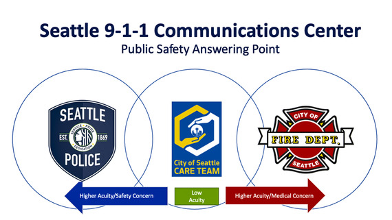 Vinn Diagram showing insignia patches with High Acuity Safety and Medical Concerns indicated under SPD and SFD and Low Acuity under CARE