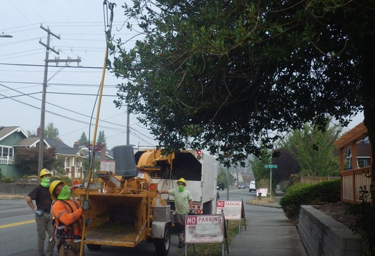 A crew completing tree trimming work in a residential neighborhood.