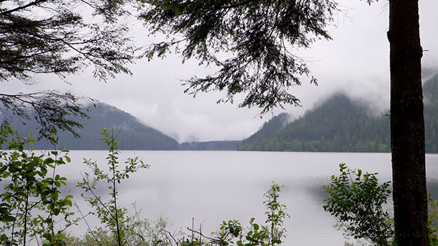 From behind foliage, view of water and mountains in background