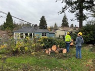 Image from Seattle City Light's Powerlines Blog post on 11-26-2024