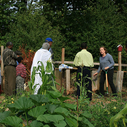 A group of people standing in a garden listening to someone speak