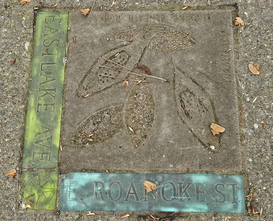 Mosaic tile on the corner of Eastlake Ave E and E Roanoke St. 