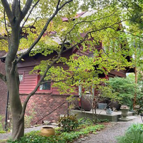 A brick and red siding house with A-frame roof behind a large tree with green leaves covering the view of the front of the house