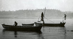 A black and white photo of Indigenous people standing on two canoes with a net stretched in the water between them.