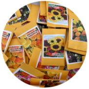 A pile of flower seed packets with photos on the front