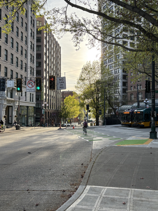 A Cyclists uses the new crossing lines to pass from one side of 3rd Ave S to the other