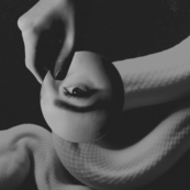 a hand holding an image of an eye with a snake in the background