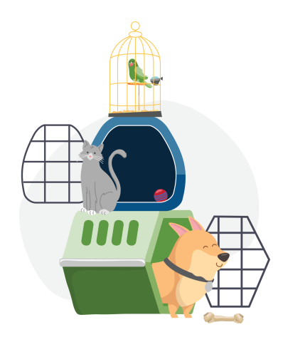 graphic of a bird and cage, cat and dog with their carriers