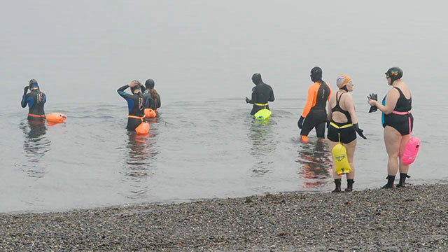 Swimmers stand on gray shore, some swim in gray water with colored buoys and swim caps