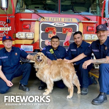 The personal use of fireworks are illegal in the city of Seattle - photo of firefighters and dog