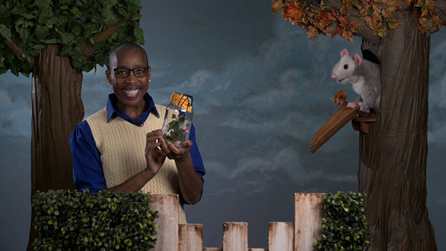 Look Listen & Learn about how we're all connected