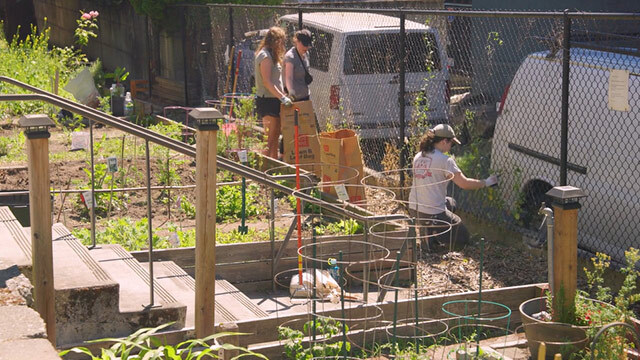 Volunteers clean up a P-Patch during One Seattle Day of Service