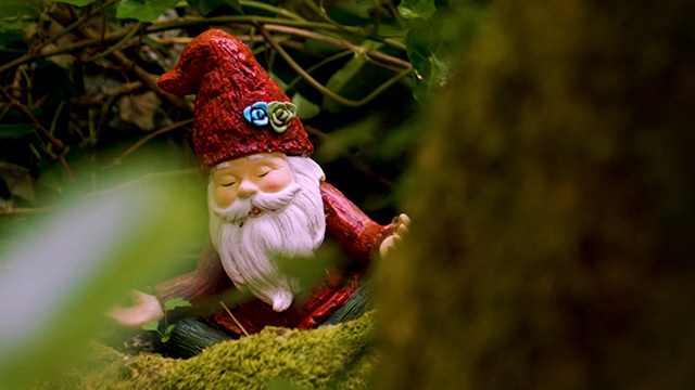 A gnome in a valley in Madrona