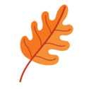 icon of orange oak leaf