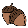 icon of two brown acorns