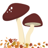 icon of two brown capped mushrooms with colorful fall leaves at their base