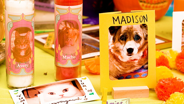 Woodland Park Zoo’s first Día de Muertos celebration