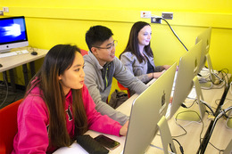 three people working on laptops