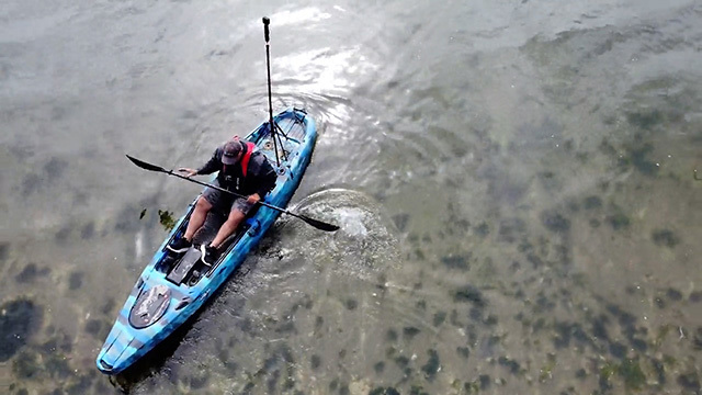 A kayaker surveys shoreline