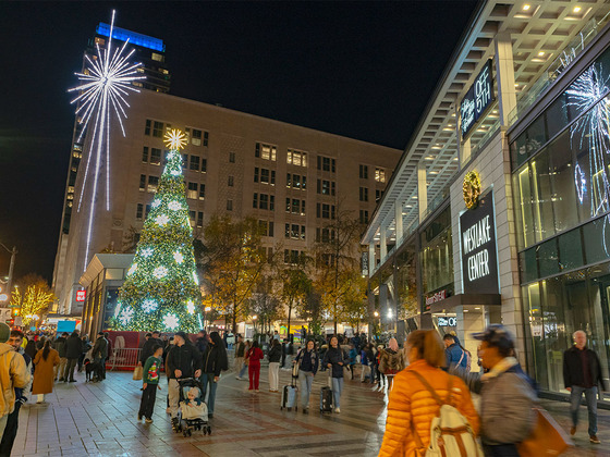 People walking around Westlake Center during the holidays