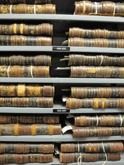 Color image of archival ledgers on shelves
