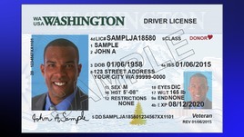 Image of a Example Washington Driver's License 2017 edition