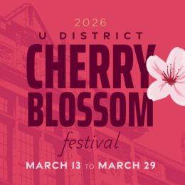 Cherry Blossom Festival graphic