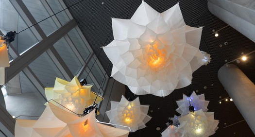 Installation view of DRIFT: Meadow at the Seattle Art Museum
