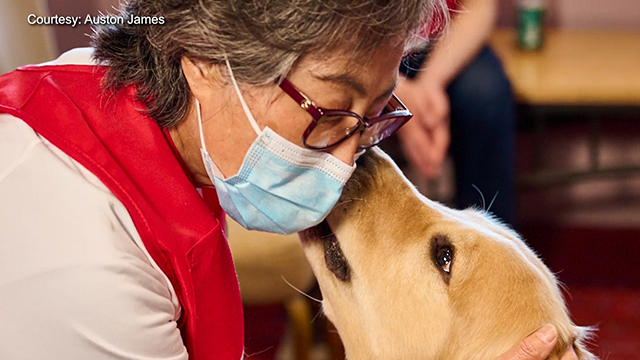 A dog licks a woman's face.