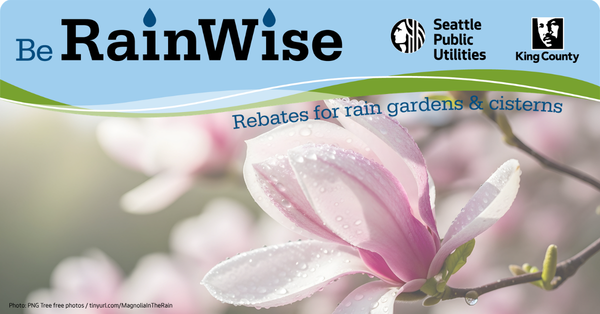 Header reads Be RainWise: Rebates for rain gardens and cisterns, with logos of Seattle Public Utilities and King County