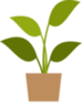 Plant icon