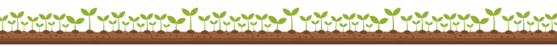 decorative border