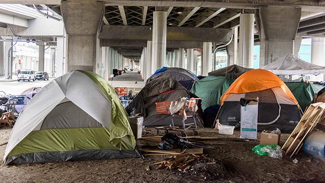 A homeless tent encampment under a Seattle freeway